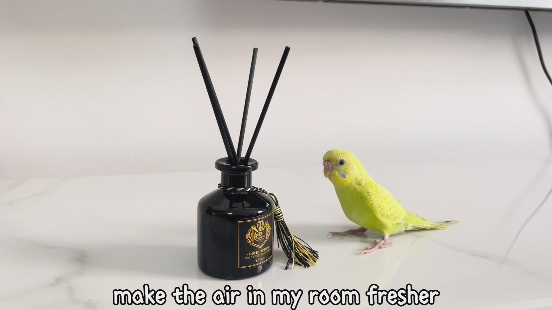 Load video: Make the air in my room fresher,pleasant fragrance